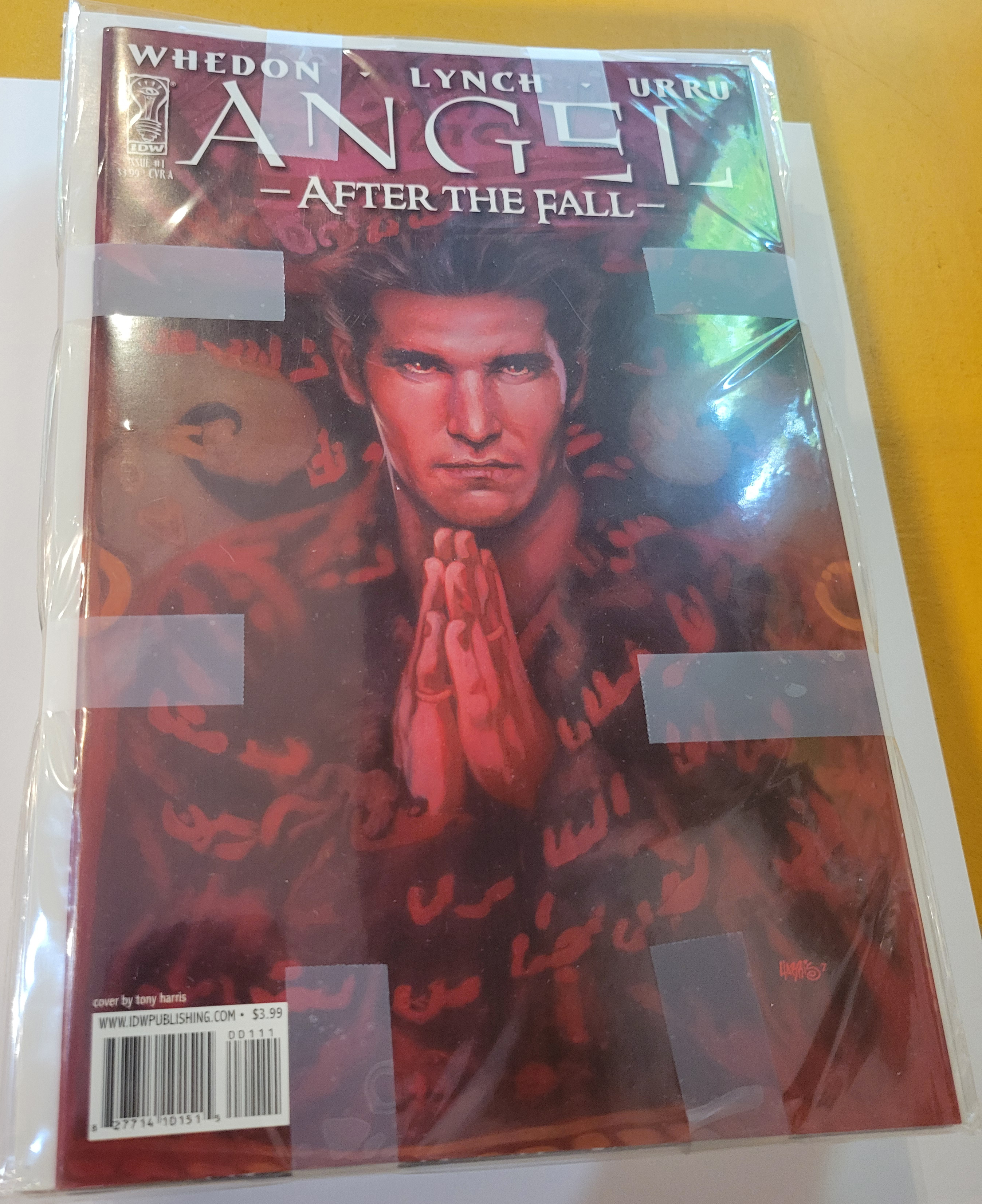 Angel After The Fall #1-17