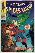 Amazing Spider-Man  #49