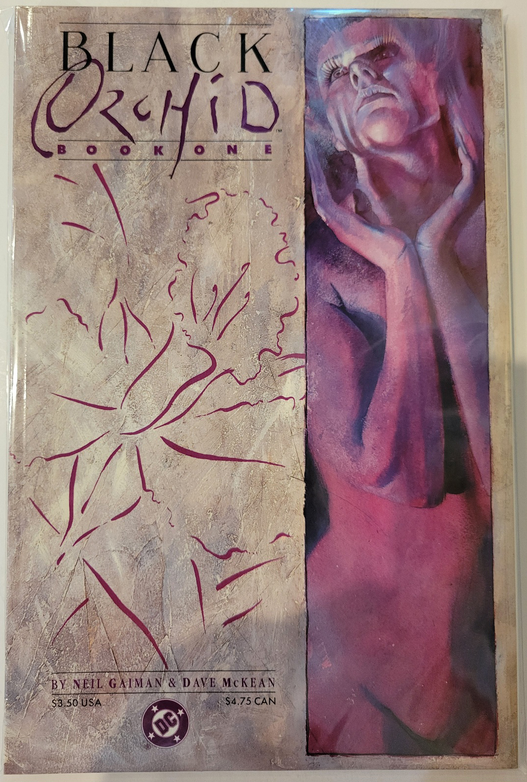 Black Orchid #1-3