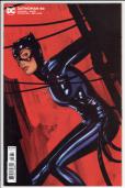 Catwoman  #46