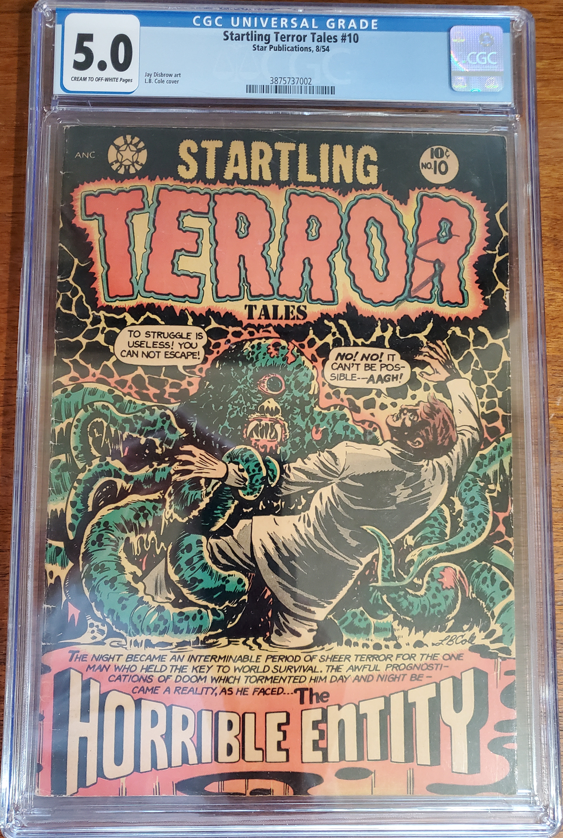 Startling Terror Tales  #10 front