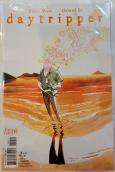 Daytripper #1-10 back
