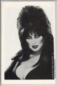 Elvira's House of Mystery #1 back Elvira's House of Mystery #1 back