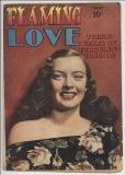Flaming Love #2 front