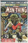 Man-Thing #22 front