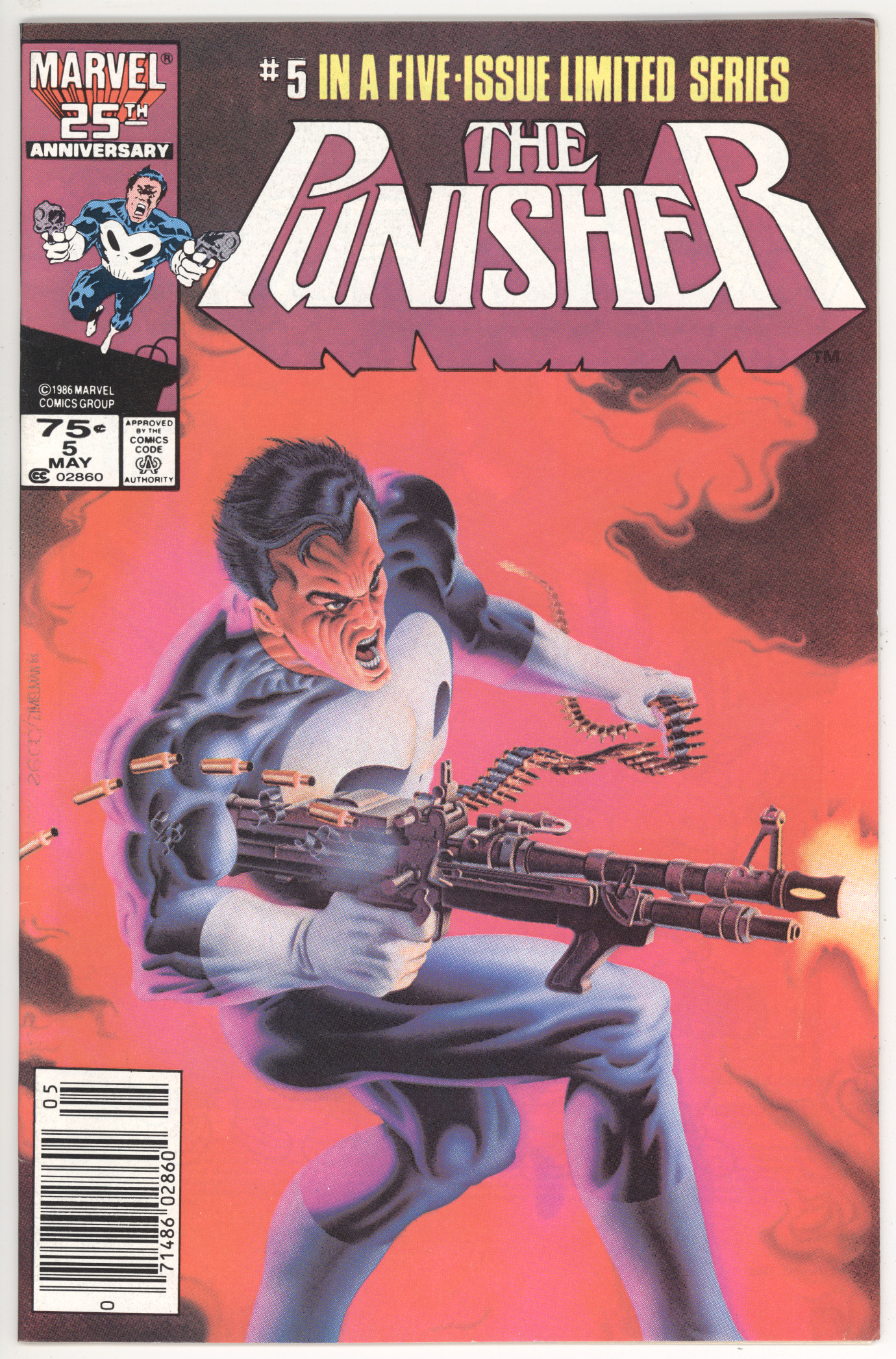 Punisher Limited Series   #5
