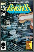 The Punisher #1 front