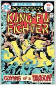Richard Dragon Kung-Fu Fighter   #1
