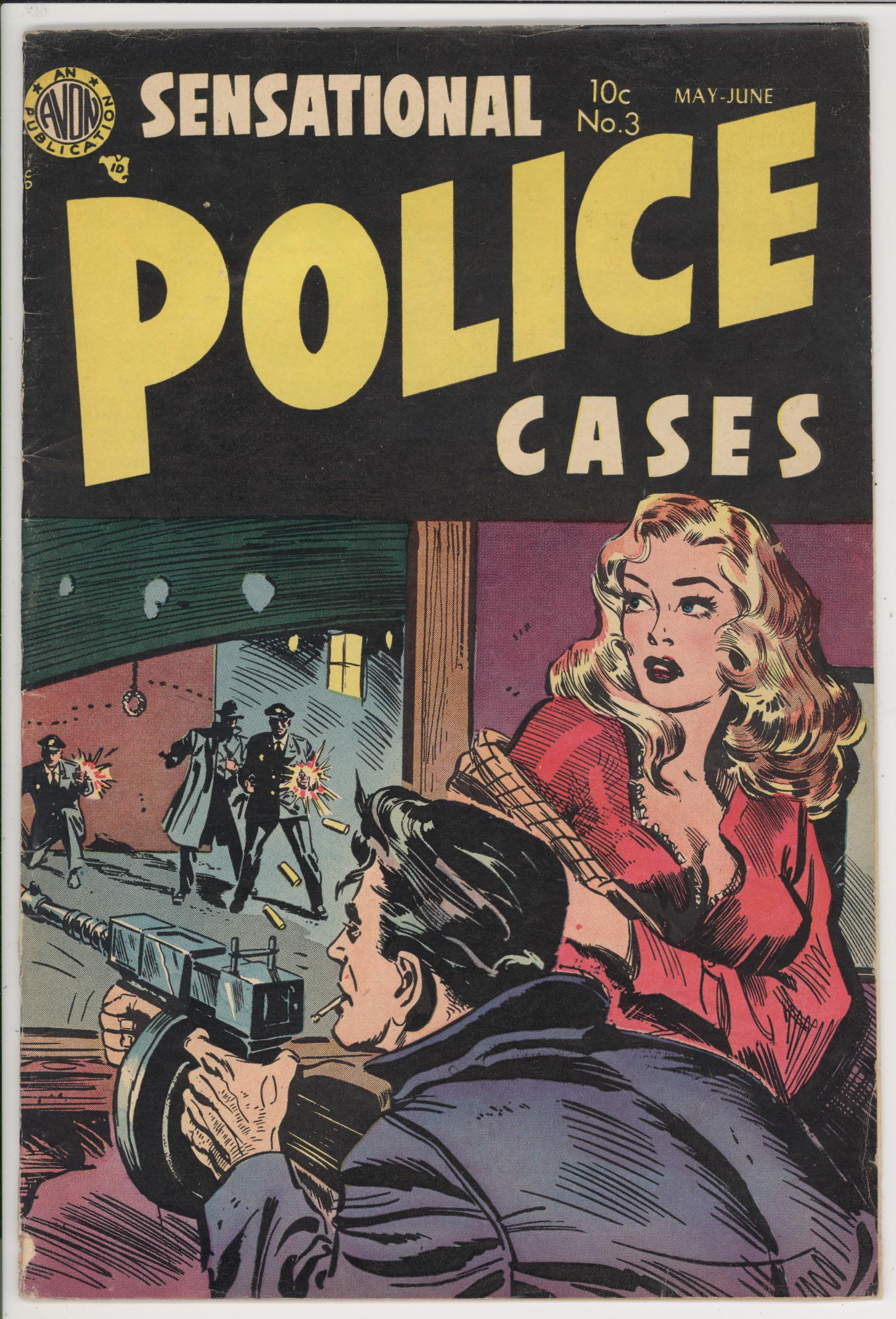 Sensational Police Cases   #3