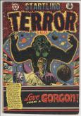 Startling Terror Tales #13 front Startling Terror Tales #13 front