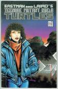 Teenage Mutant Ninja Turtles  #11