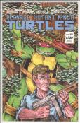 Teenage Mutant Ninja Turtles  #12