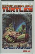 Teenage Mutant Ninja Turtles  #19