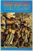Teenage Mutant Ninja Turtles  #35
