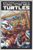 Teenage Mutant Ninja Turtles   #3