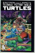 Teenage Mutant Ninja Turtles   #9