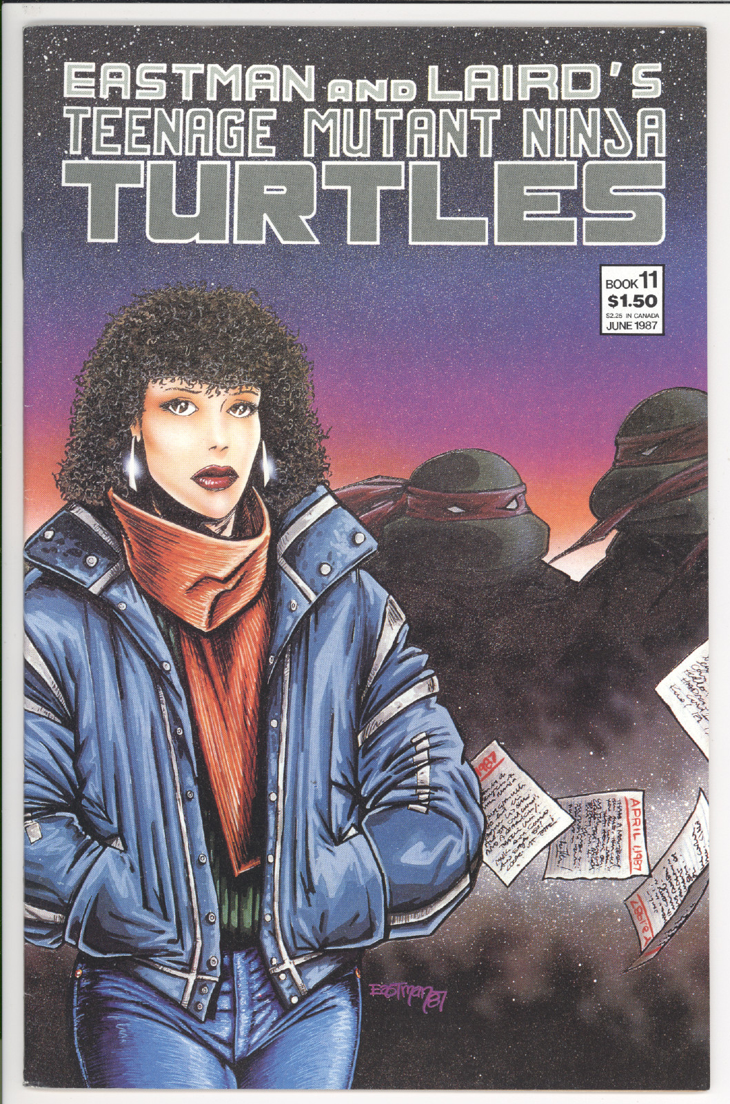 Teenage Mutant Ninja Turtles  #11