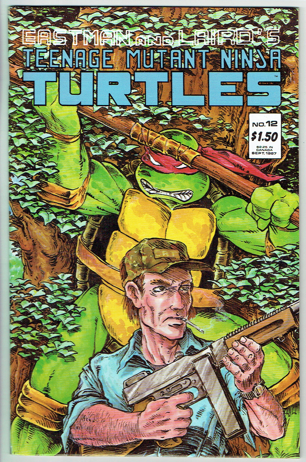 Teenage Mutant Ninja Turtles  #12