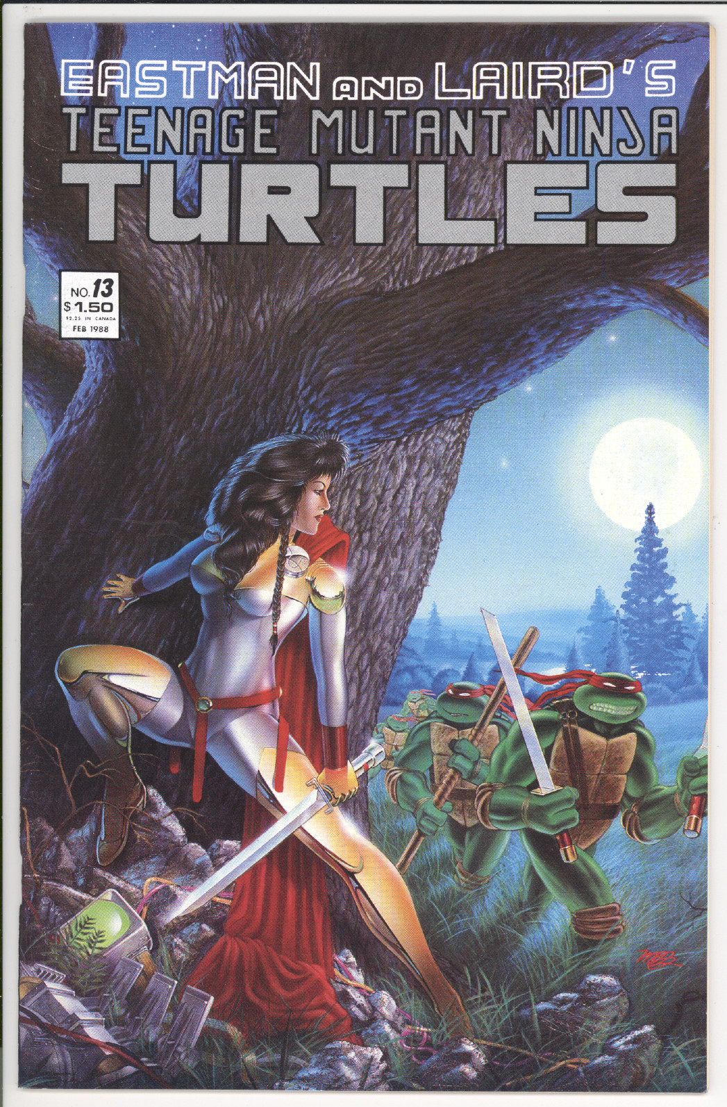Teenage Mutant Ninja Turtles  #13