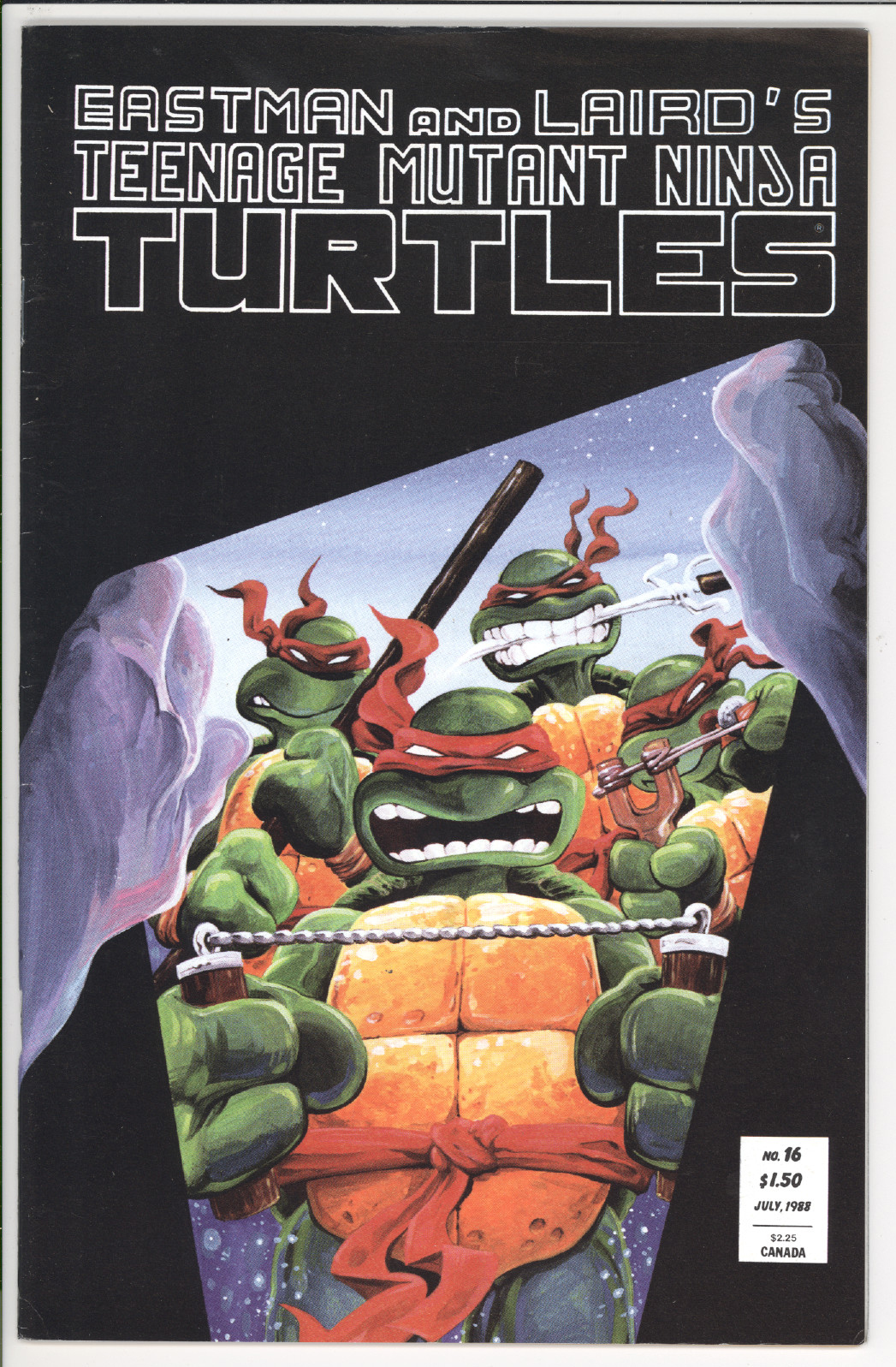 Teenage Mutant Ninja Turtles  #17