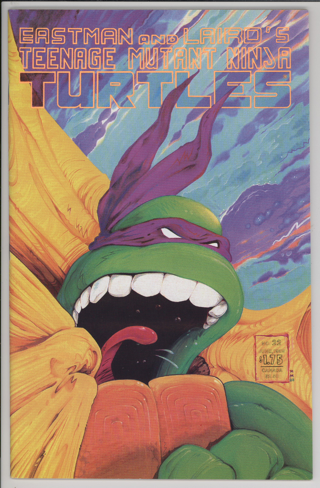 Teenage Mutant Ninja Turtles  #22