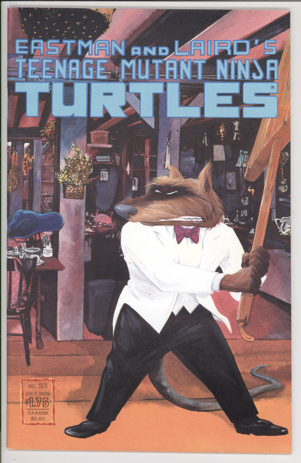 Teenage Mutant Ninja Turtle s #23