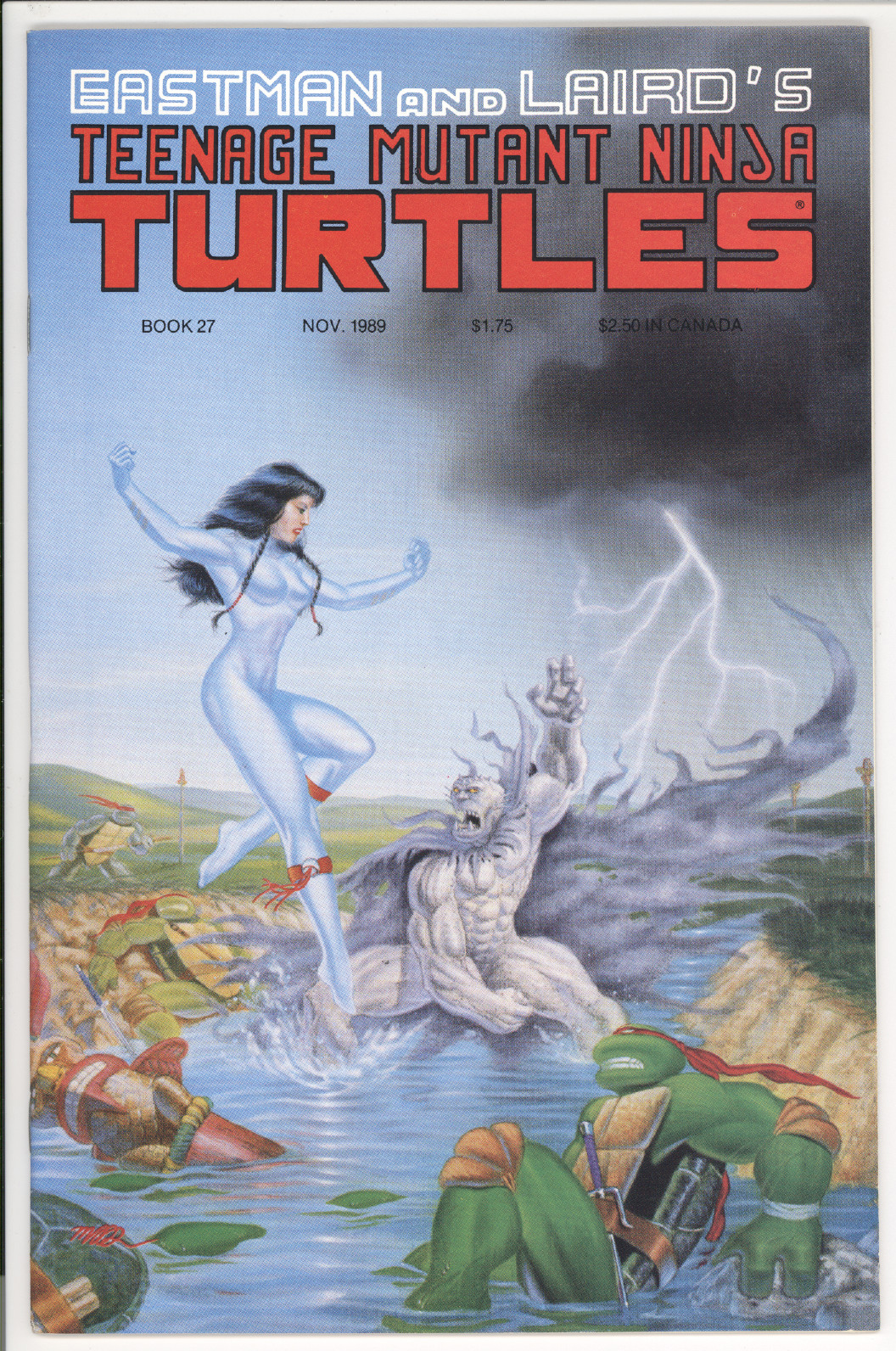 Teenage Mutant Ninja Turtles  #27