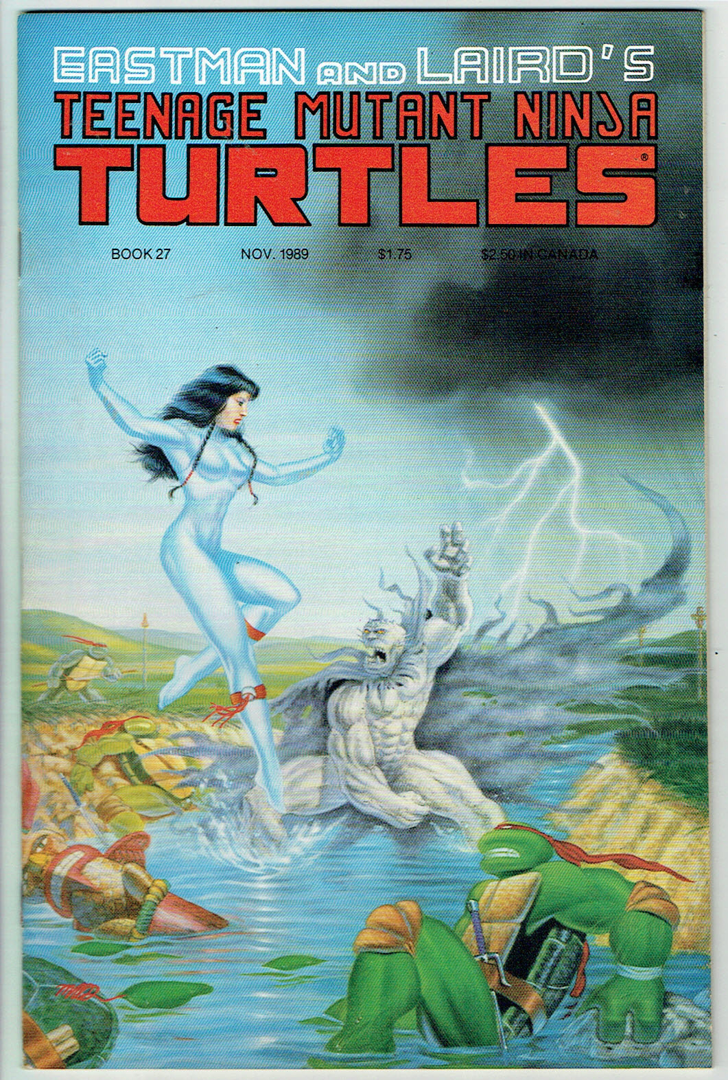 Teenage Mutant Ninja Turtles  #27
