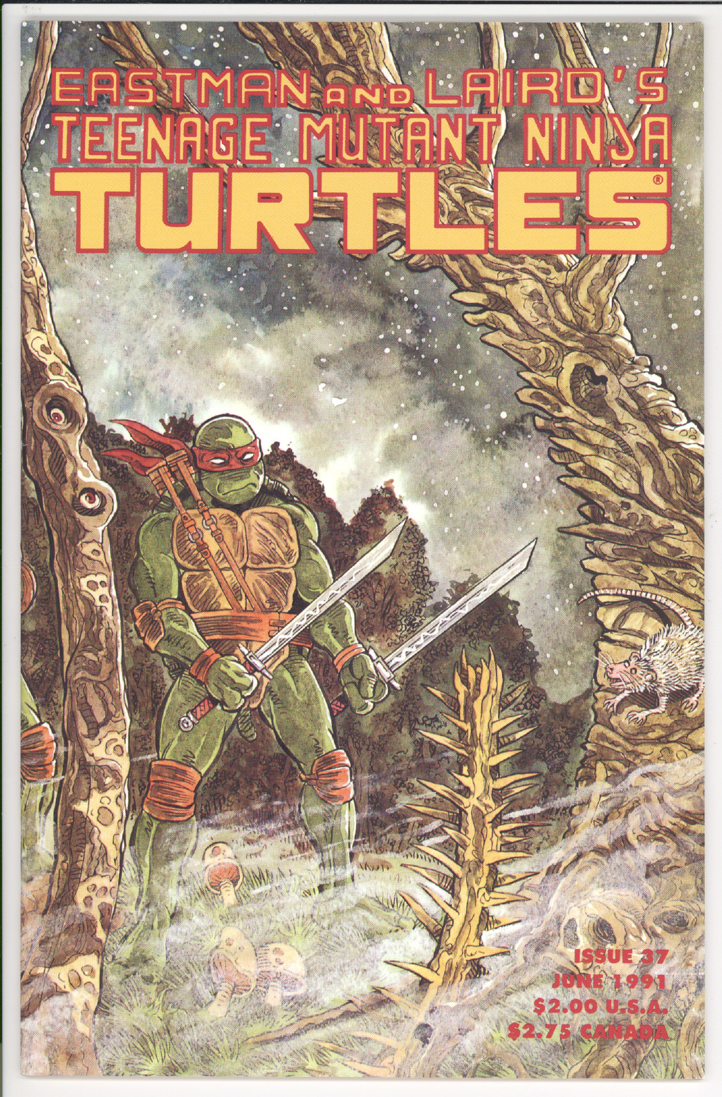 Teenage Mutant Ninja Turtles  #37