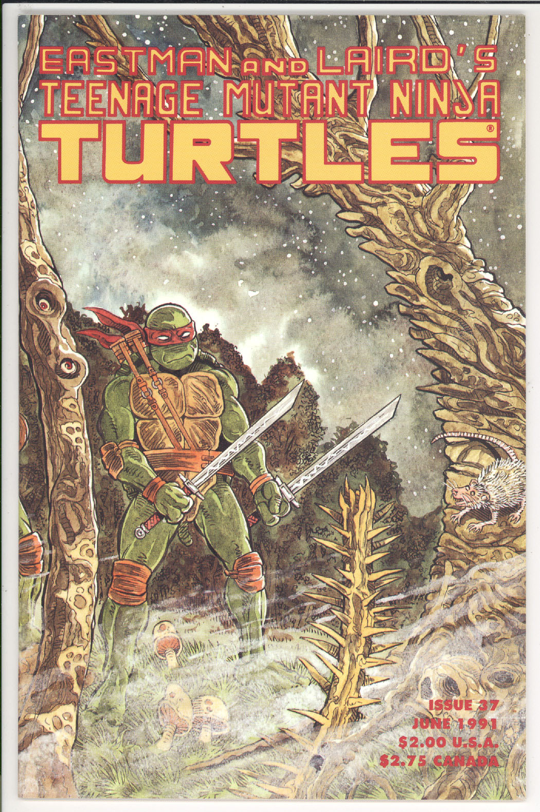 Teenage Mutant Ninja Turtles #37 front