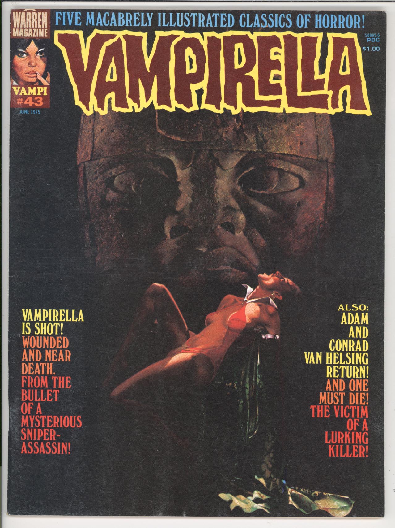 Vampirella  #43