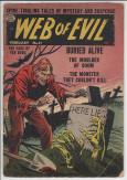 Web of Evil #11 front