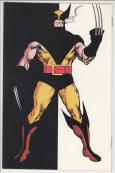 Wolverine #1 back