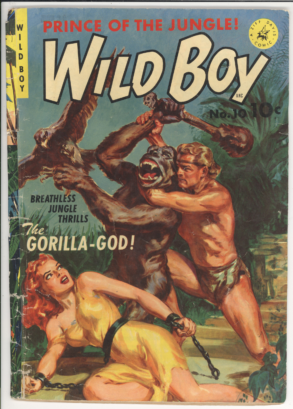 Wild Boy #10 front